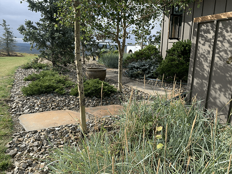 Jones Acreage Project