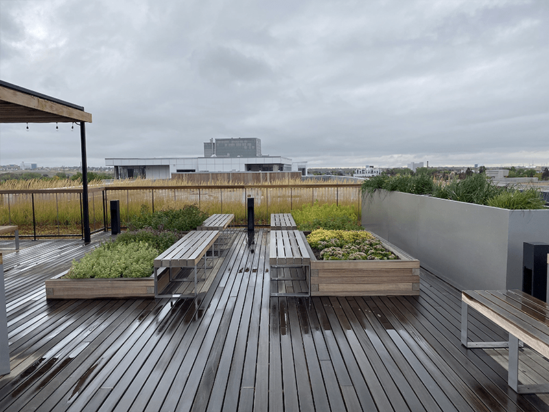 Roof Top Project